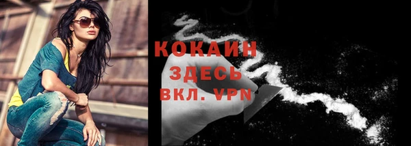 молекула духа Богородицк