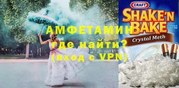 молекула духа Богородицк