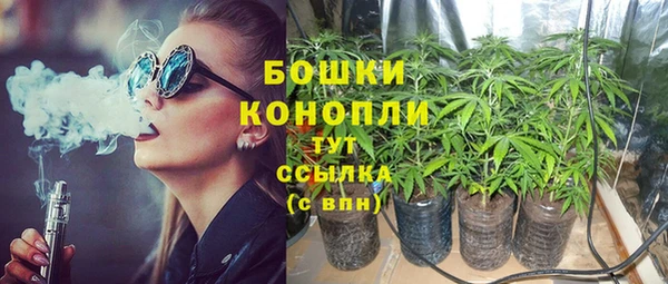 молекула духа Богородицк
