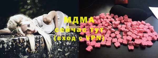 молекула духа Богородицк
