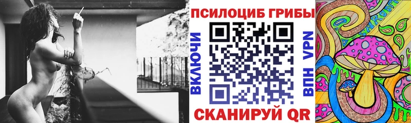 Псилоцибиновые грибы ЛСД  где найти   kraken ссылки  Сланцы 
