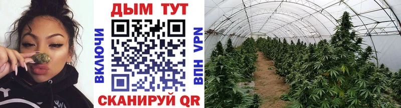 Каннабис гибрид  как найти закладки  Сланцы 
